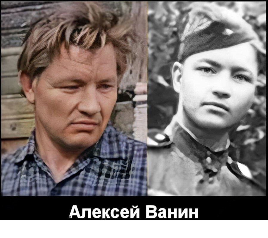 Алексей Ванин
Фотографии знаменитостей в армии